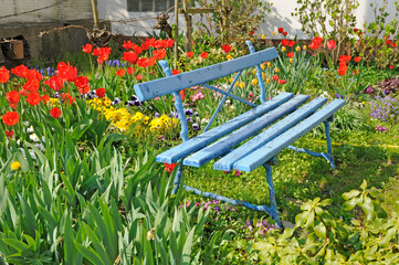 Canvas Print - Blaue Bank in einem Garten