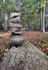 Wall Mural - stone path in the park