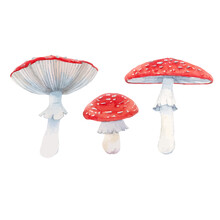 Beautiful Vector Clip Art Set With Hand Drawn Watercolor Forest Amanita Mushroom. Stock Illustration.