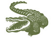 Vintage crocodile - hand drawn vector illustration