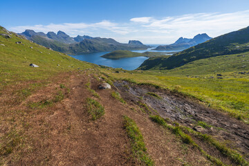 Wall Mural - hiking mount ryten and kvalvika beach on lofoten islands in norway