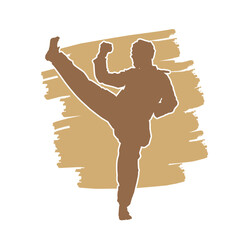 Poster - Karate martial art fighter vector silhouette. on brown background.