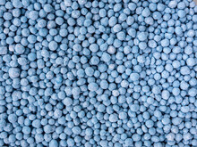 Small Blue Round Granules Are Chemical Fertilizers