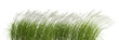 Nature grass meadow flow cut out backgrounds 3d rendering png file