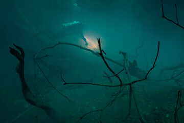 Canvas Print - cave diver instructor leading a group of divers in a mexican cenote underwater