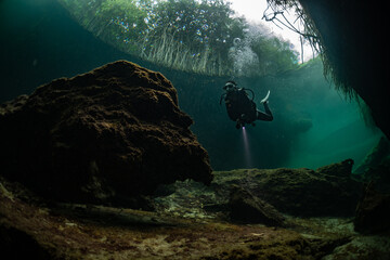 Wall Mural - cave diver instructor leading a group of divers in a mexican cenote underwater