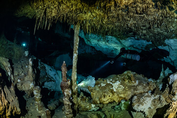 Wall Mural - cave diver instructor leading a group of divers in a mexican cenote underwater