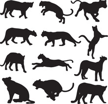 Puma Panther Animal Silhouette
