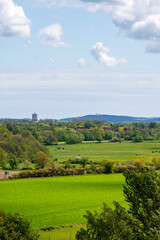 Wall Mural - Green farmland fields in Skåne Sweden during summer