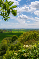 Wall Mural - Flat farmland landscape with green and yellow fields blue sky with clouds and wind power plant in Skåne Sweden