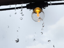 Water Dripping Off A Lightbulb In The Rain In Florida Usa