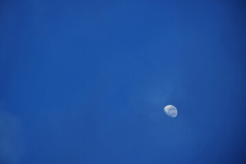 Wall Mural - half moon on twilight sky in night
