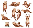 Sea Otter as Marine Mammal and Aquatic Creature with Brown Coat and Long Tail Vector Set