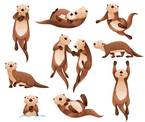 Wall Mural - sea otter as marine mammal and aquatic creature with brown coat and long tail vector set