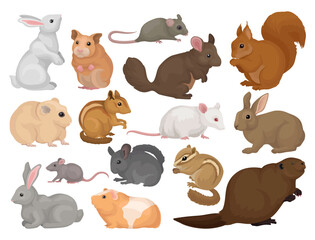 Wall Mural - species of rodents with rabbit, hamster, mouse, squirrel, rat, beaver and chipmunk big vector set