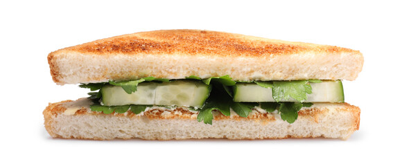 Tasty sandwich with cucumber and parsley on white background