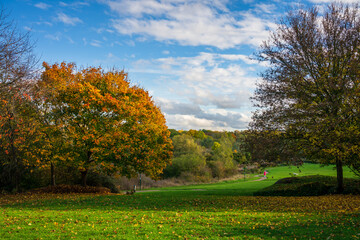 Poster - Loguhton Park in autumn season in Milton Keynes, England