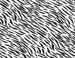 Full Seamless Zebra Tiger Worn Pattern Textile Texture. Distressed Vector Background. Black and White Animal Skin for Women Dress Fabric Print.