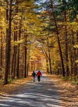 Couple Walking On A Trail Through The Woods