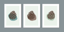 Three Frame Of Fir Cone Set. Minimalist Wall Art Decor With Pastel Green, Brown. Winter And Autumn Hand Draw Pinecone Cones Background. Holiday Season, Christmas Tree Fabric Print. Vector Illustration