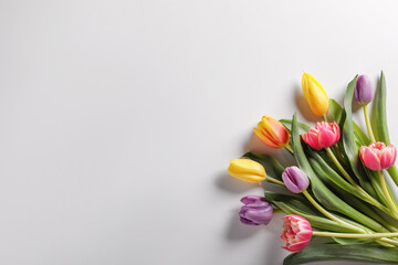 Wall Mural - Beautiful tulips on light grey background, flat lay. Space for text