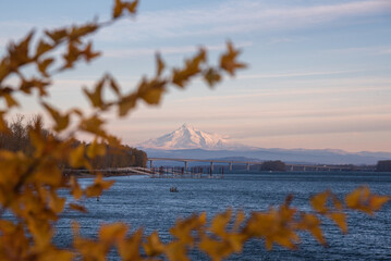 Wall Mural - December landscape of foliage framing Mt Hood and the Columbia River, Tidewater Cove Vancouver Washington