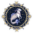 Astrological symbol on white background - Capricorn