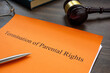 Documents about Termination of parental rights in a court.