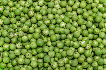 Wall Mural - small green jurubeba fruits