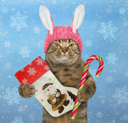 Wall Mural - Cat in rabbit ears with christmas boot