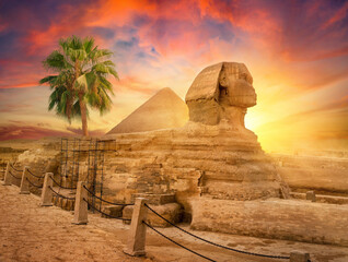 Wall Mural - Egyptian sphinx in desert