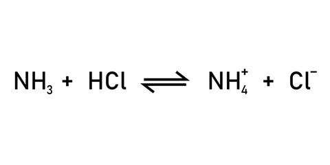 Bronsted-Lowry acid-base reaction theory. Scientific vector illustration isolated on white background.