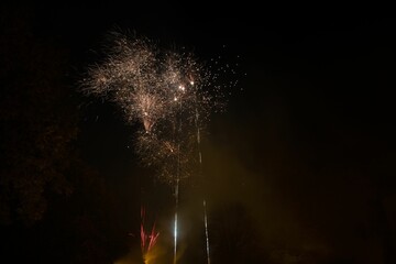 Canvas Print - Beautiful colorful firework show at a park at night