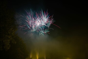 Canvas Print - Beautiful colorful firework show at a park at night