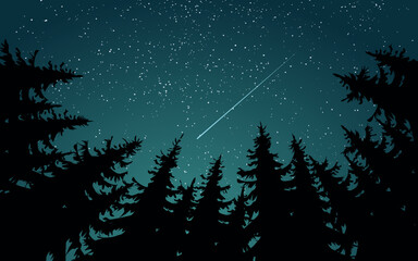 Wall Mural - starry night sky in pine forest