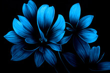 Blue Petals On A Contrasting Black Background,  Generative AI	