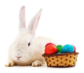 Canvas Print - White bunny and Easter eggs.