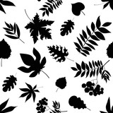 Fototapeta Lawenda - Seamless leaf pattern. Black silhouette of leaves. Pattern of rowan, birch, chestnut, oak, maple leaves. Vector illustration