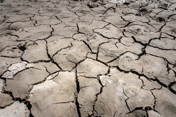 Poster - Aerial shot of cracked earth texture