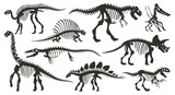 Fototapeta Dinusie - Cartoon dino skeleton silhouettes. Ancient dinosaur fossil bones, jurassic tyrannosaurus, velociraptor, spinosaurus black silhouette flat vector illustration set on white background