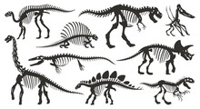 Cartoon Dino Skeleton Silhouettes. Ancient Dinosaur Fossil Bones, Jurassic Tyrannosaurus, Velociraptor, Spinosaurus Black Silhouette Flat Vector Illustration Set On White Background