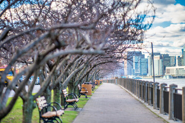 Wall Mural - Roosevelt Island promenade and benches along East River with New York City skyline view