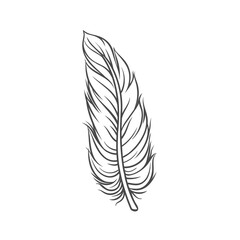 Wall Mural - Feather line icon vector illustration. Hand drawn outline angel or bird smooth soft plumage, single fluffy plume and pen for writing or filling pillow, easy furry feather and fluff from wings