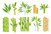 Bamboo Set Vector Illustration. Cartoon Isolated Plant With Branches And Leaves From Japanese, Chinese Or Thai Forest, Organic Leaf On Green Sprout And Dry Wooden Stems For Bamboo Reed Decoration
