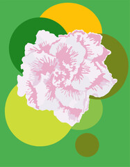 Sticker - Colorful floral vector on green background