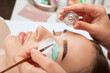 © Dimid - Make-up artist makes the procedure of lamination and dyeing of eyelashes to a beautiful woman in a beauty salon. Eyelash extensions. Eyelash lifting