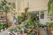 © ADDICTIVE STOCK - Various potted plants in floral shop