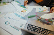 © Alliance - business woman working with documents and graphs