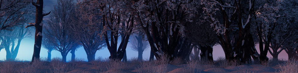 Snow covered Trees create Beautiful Winter Woodland Banner. Seasonal Concept.