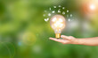 © Apichat - Renewable energy concept hand holding a light bulb Energy saving, alternative energy icon, environmental protection and finance icon. Investing in energy stocks around the world